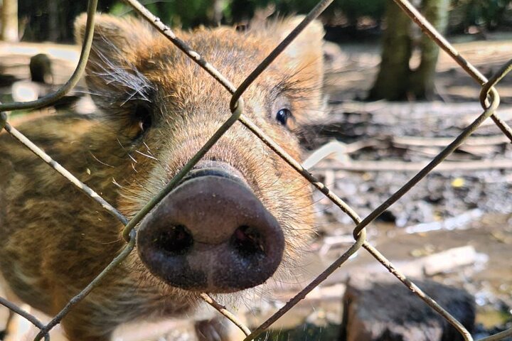 Hotel Montaña Mágica